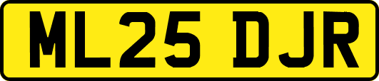 ML25DJR
