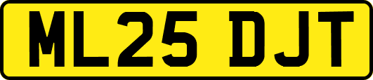 ML25DJT
