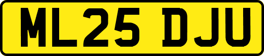ML25DJU