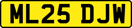 ML25DJW