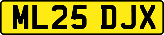ML25DJX
