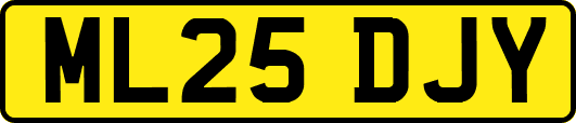 ML25DJY
