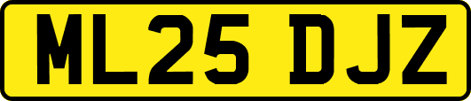 ML25DJZ