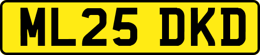 ML25DKD