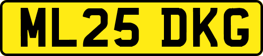 ML25DKG
