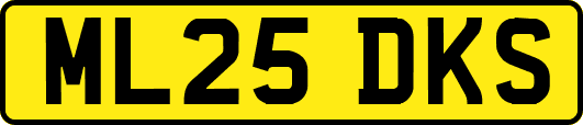 ML25DKS