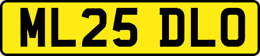 ML25DLO