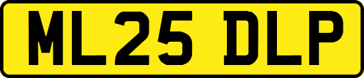 ML25DLP