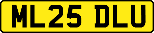 ML25DLU