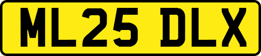 ML25DLX