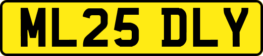 ML25DLY