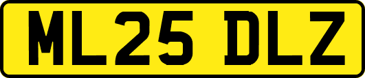 ML25DLZ
