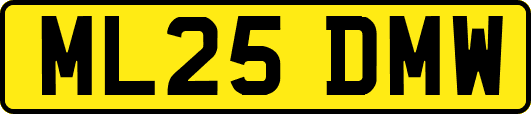ML25DMW
