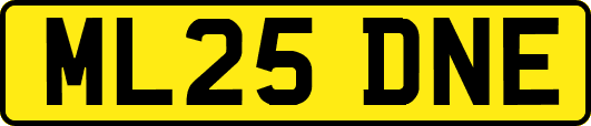 ML25DNE