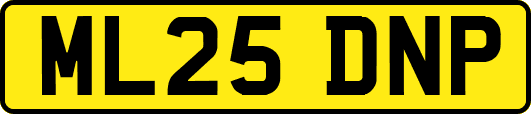ML25DNP