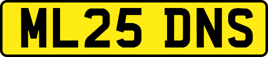 ML25DNS