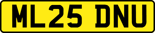 ML25DNU