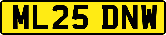 ML25DNW
