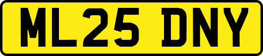 ML25DNY