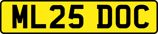 ML25DOC