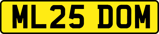 ML25DOM