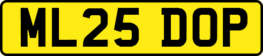 ML25DOP