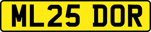 ML25DOR