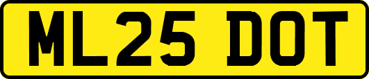ML25DOT