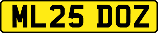 ML25DOZ