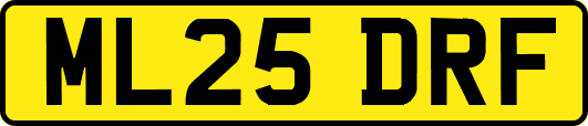 ML25DRF