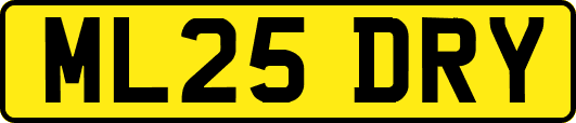 ML25DRY
