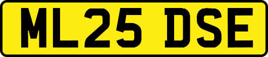 ML25DSE