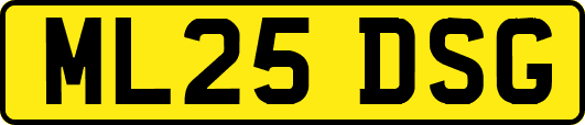 ML25DSG