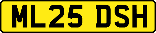 ML25DSH