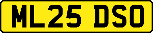 ML25DSO