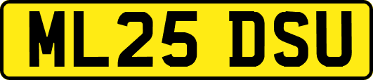 ML25DSU