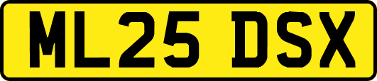ML25DSX