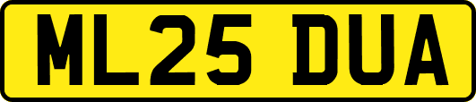 ML25DUA