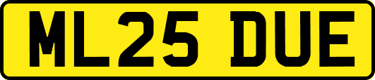 ML25DUE