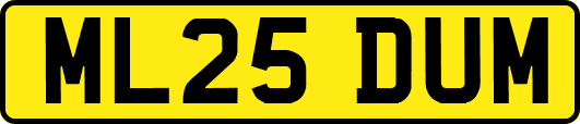ML25DUM