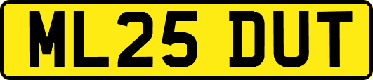ML25DUT
