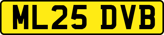 ML25DVB