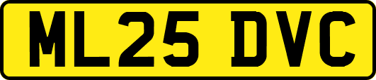 ML25DVC
