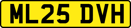 ML25DVH