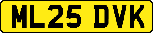 ML25DVK