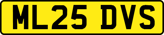 ML25DVS