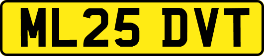 ML25DVT