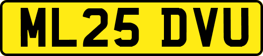 ML25DVU