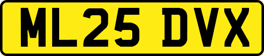 ML25DVX