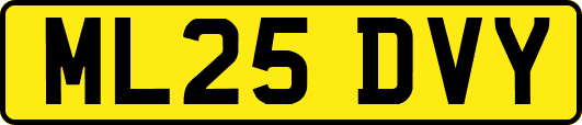 ML25DVY